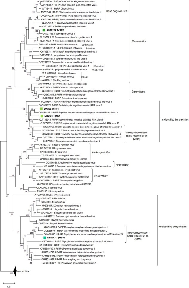 Figure 3.