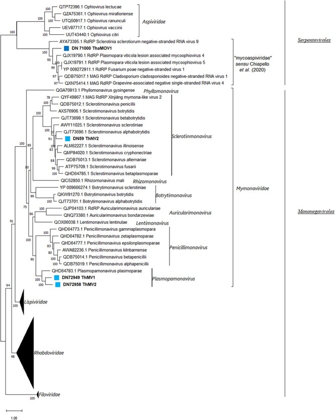 Figure 5.