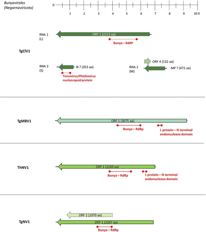 Figure 2.