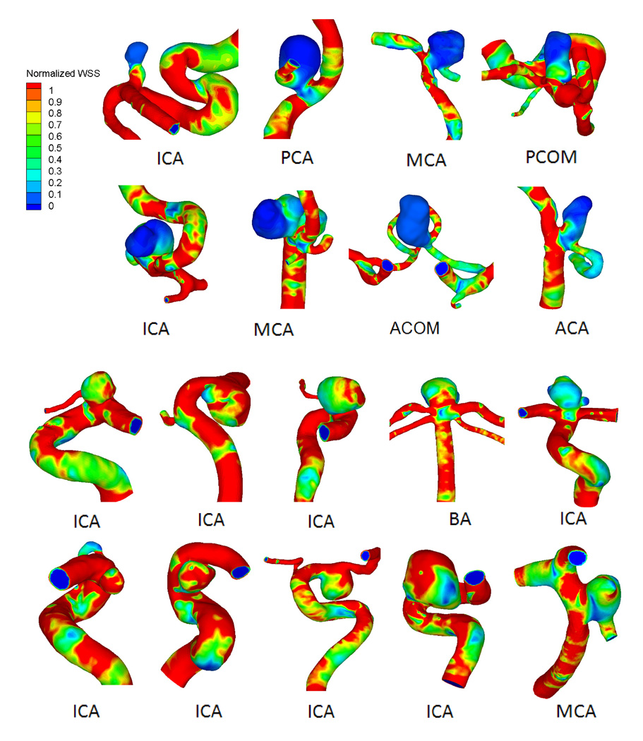 Figure 2