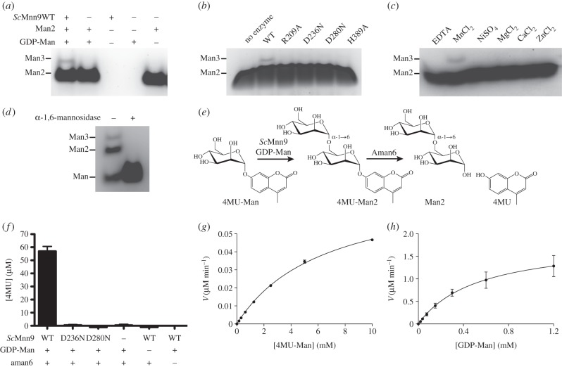 Figure 4.