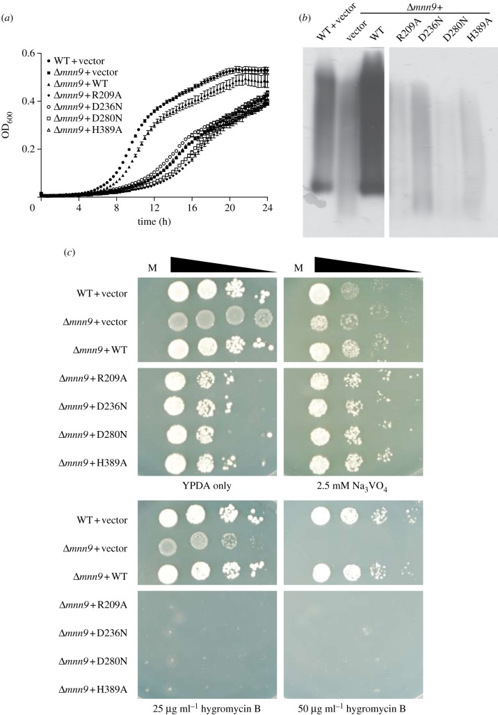 Figure 6.