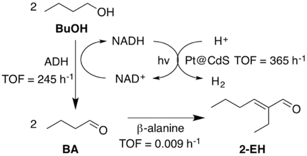 Scheme 1.