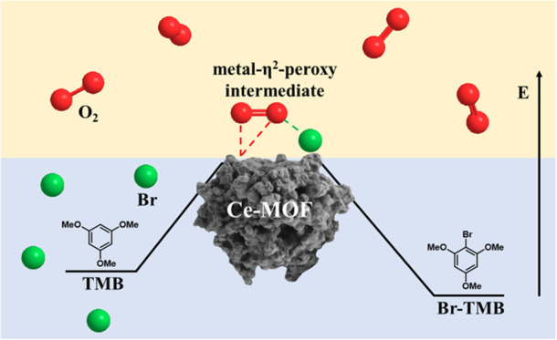 graphic file with name am1c07496_0010.jpg