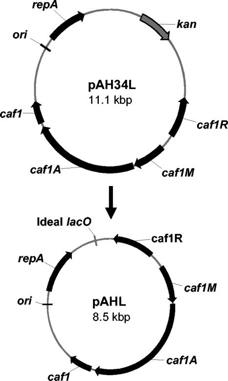 FIG. 3.