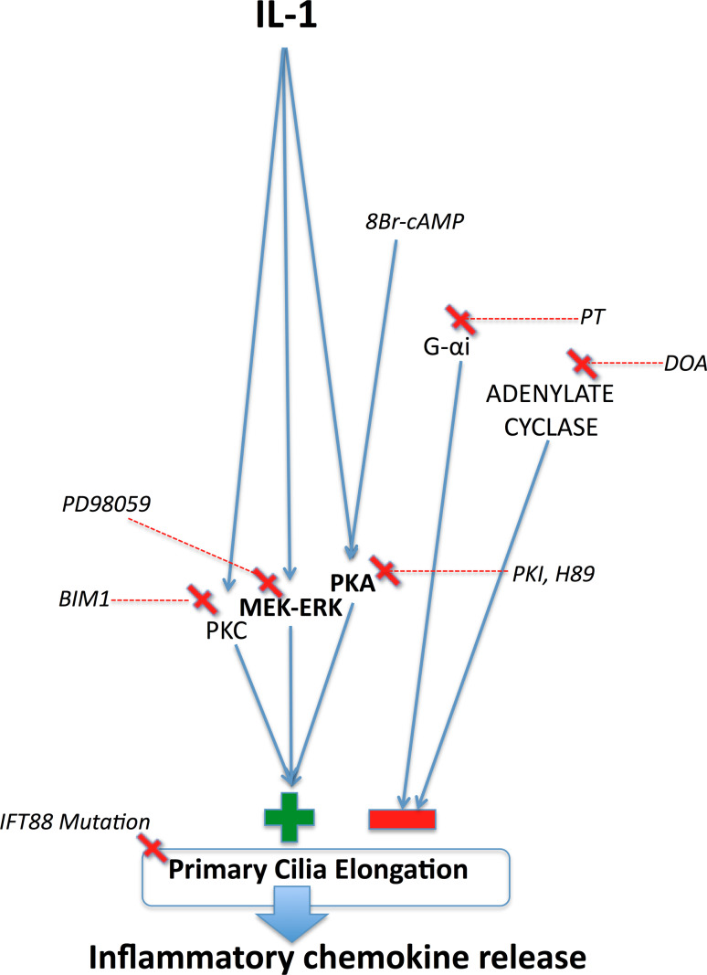 Fig. 6