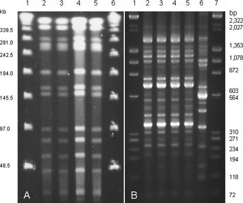 FIG. 6.