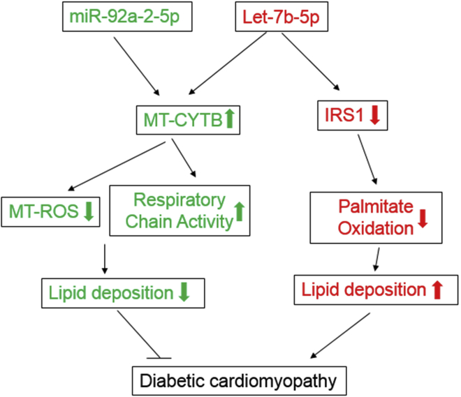 Figure 6