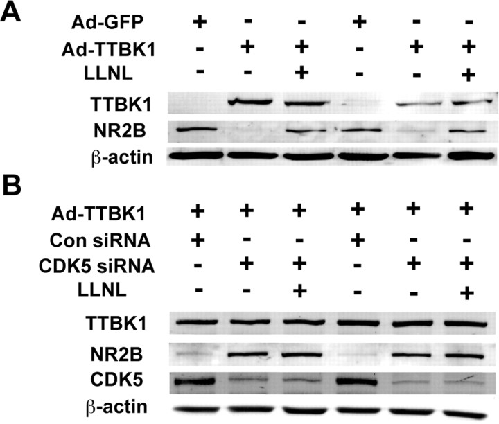 Figure 10.