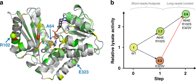 Fig. 4