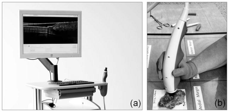 FIG. 1