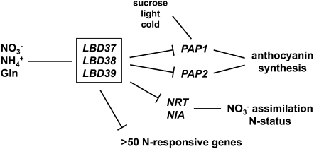 Figure 10.