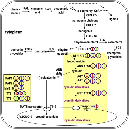 Figure 6.