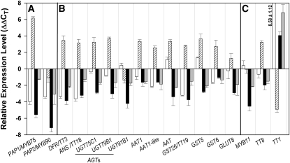 Figure 5.