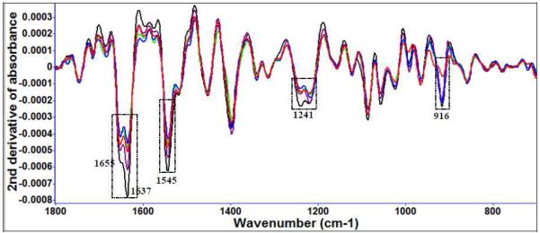 Figure 3 (c)