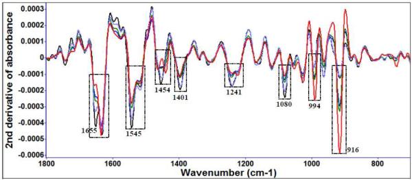 Figure 3 (a)