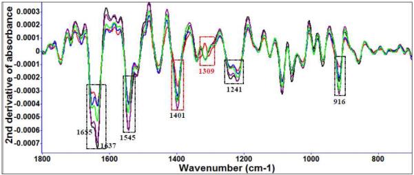 Figure 3 (d)