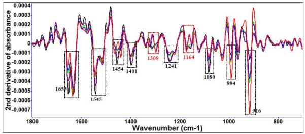 Figure 3 (b)