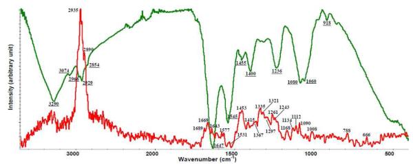 Figure 1 (b)