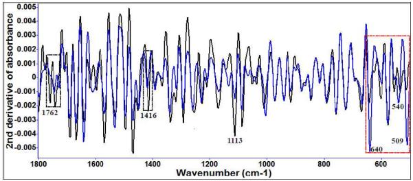 Figure 4 (b)