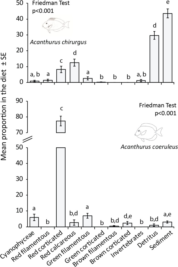 Fig 10