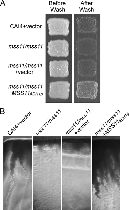 FIG. 5.