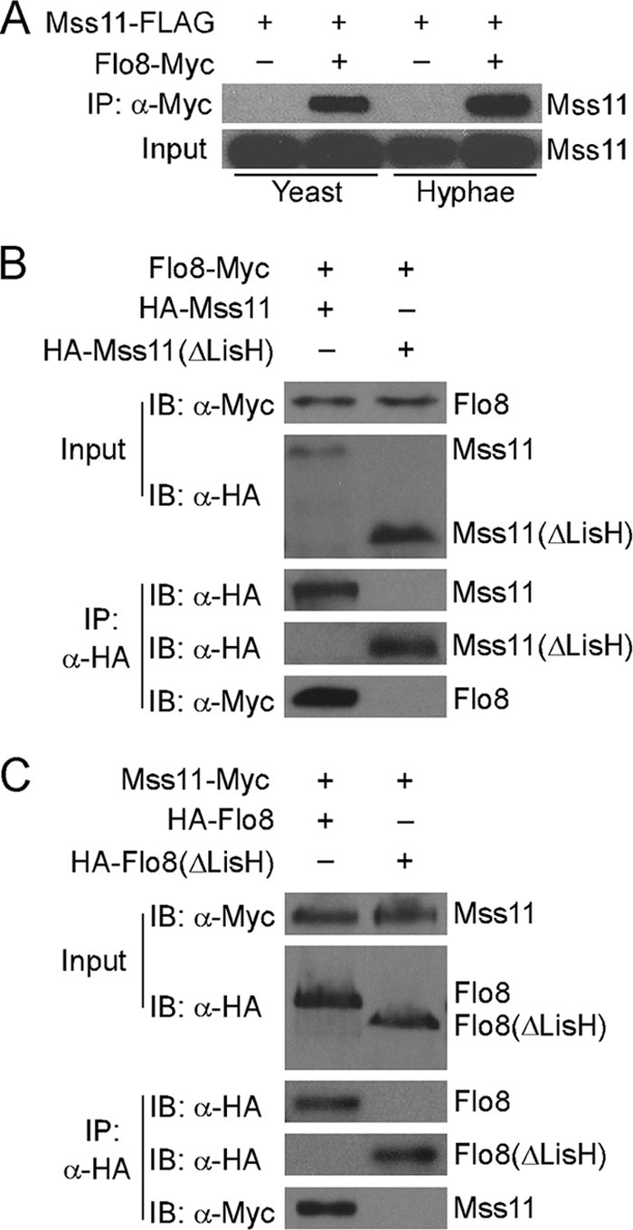 FIG. 6.