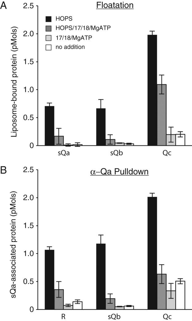 FIGURE 6: