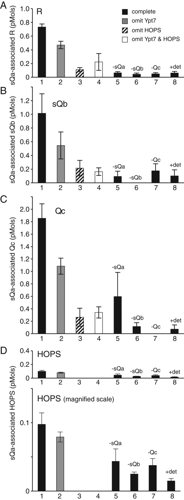 FIGURE 4: