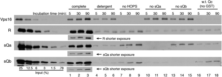 FIGURE 5: