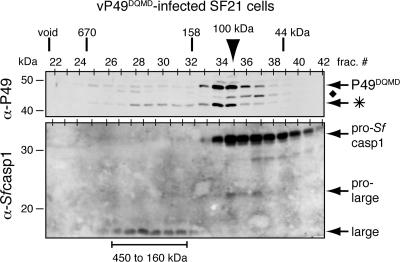 FIG. 7.