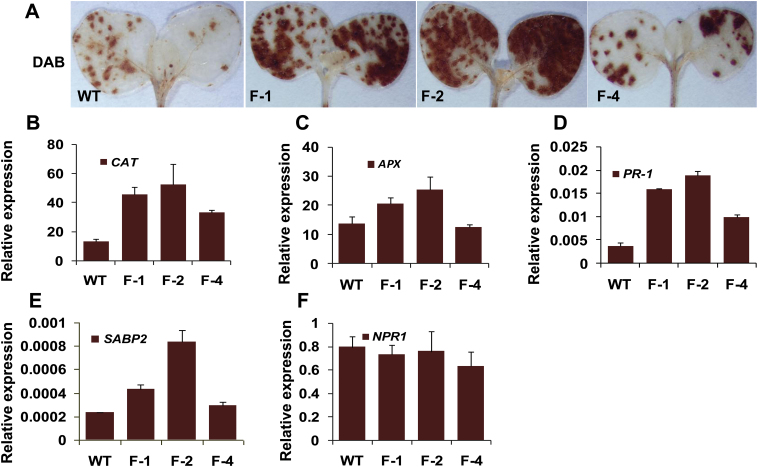 Fig. 6.