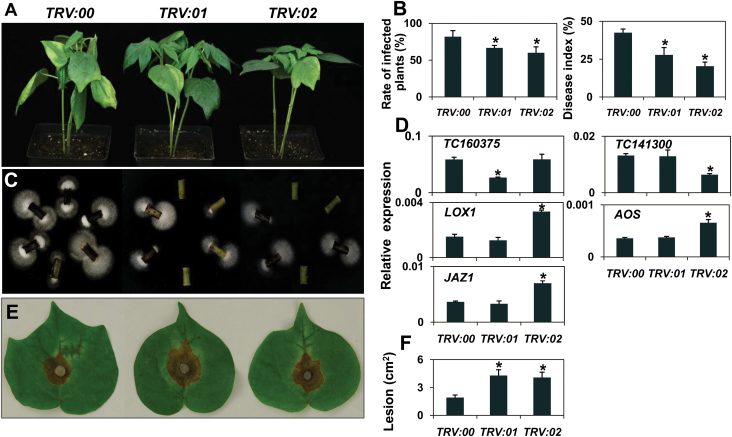 Fig. 4.