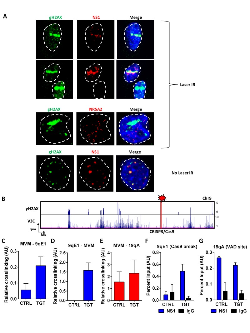 Figure 6.