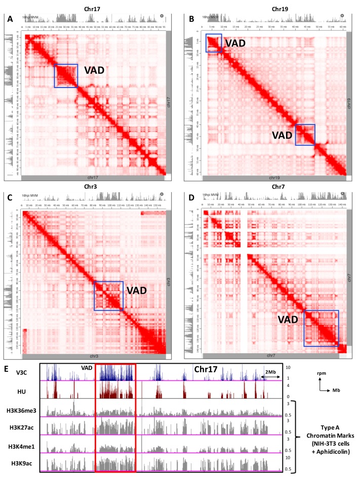 Figure 4—figure supplement 2.