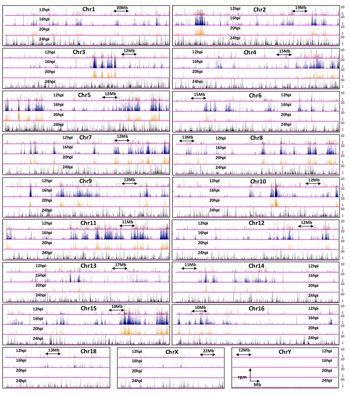 Figure 2—figure supplement 2.