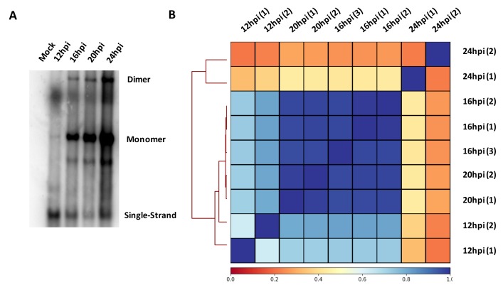 Figure 2—figure supplement 1.