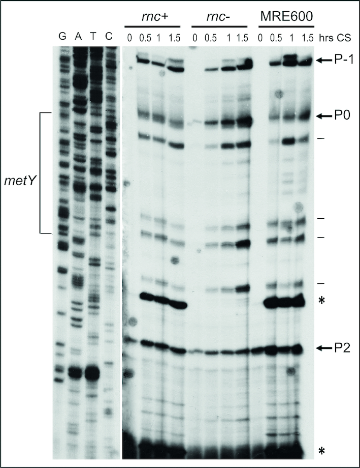 Figure 5.