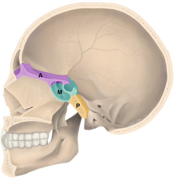 FIGURE 1