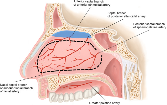 FIGURE 3