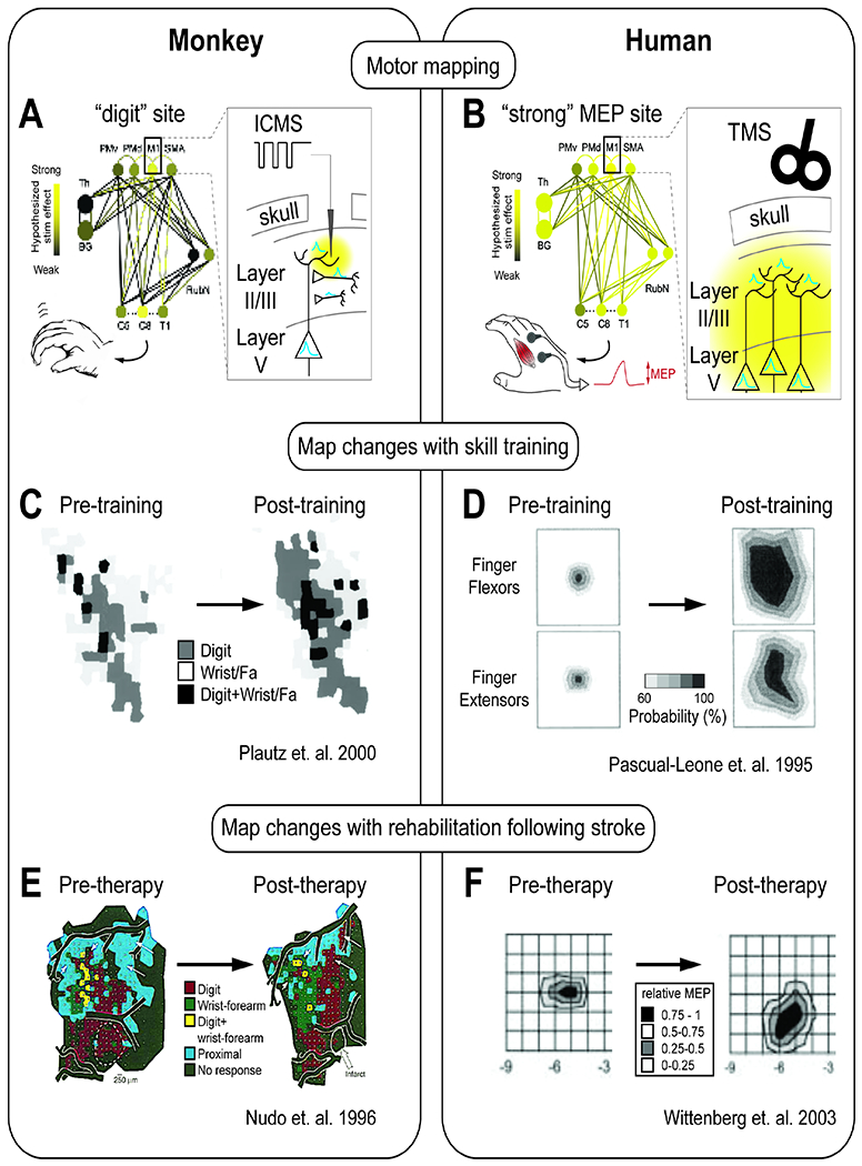 Figure 3: