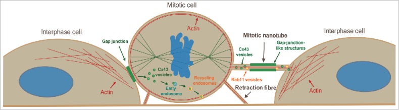 Figure 9.