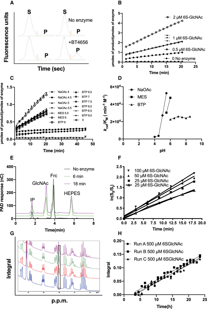 Figure 2.