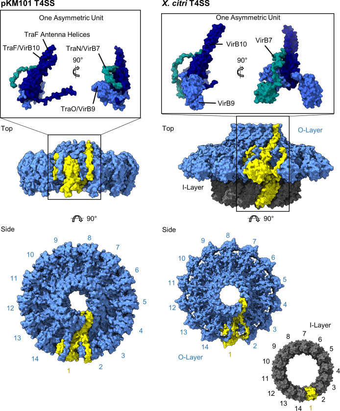 Fig 2