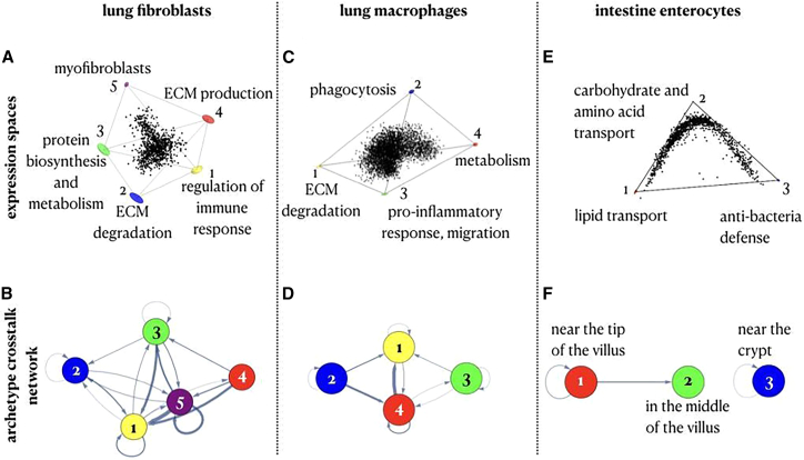 Figure 5