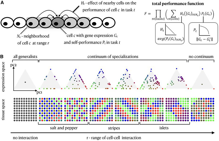 Figure 2