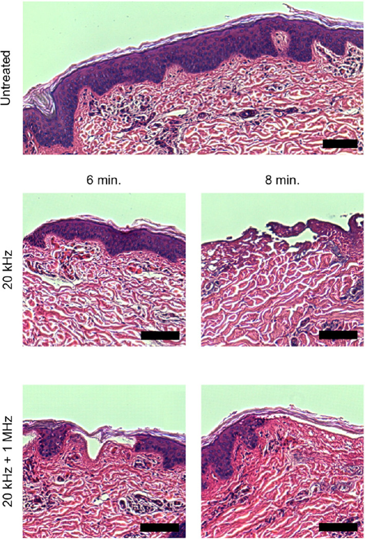 Fig. 6