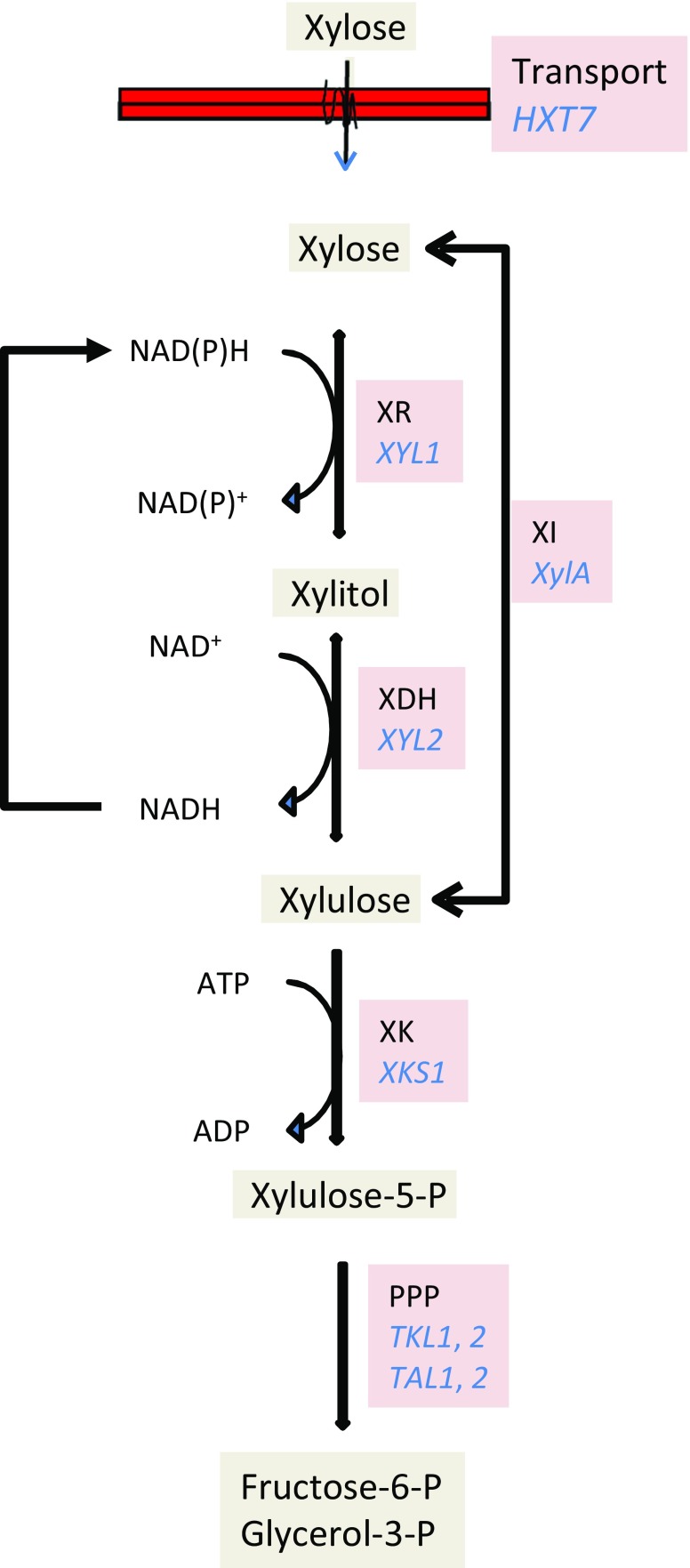 Fig. 2