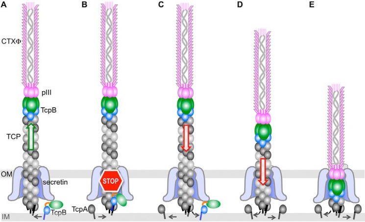 Figure 7.