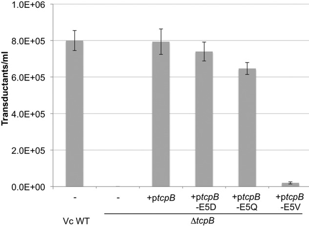 Figure 6.